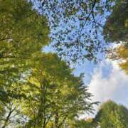 ヒメ日記 2025/11/19 08:46 投稿 ゆな 千葉松戸ちゃんこ