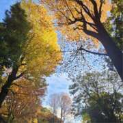 ヒメ日記 2025/11/26 12:36 投稿 ゆな 千葉松戸ちゃんこ