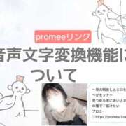 ゆな プロミーへワープGO 千葉松戸ちゃんこ