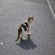 ヒメ日記 2026/02/22 17:56 投稿 ゆな 千葉松戸ちゃんこ