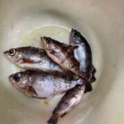 小宮美佐子 Nくんへ 五十路マダム愛されたい熟女たち 福山店(カサブランカグループ)