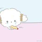 ヒメ日記 2026/03/04 12:37 投稿 星野　ゆりあ 松山回春性感エステオールスターズ