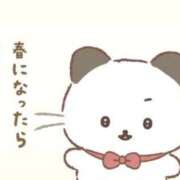 ヒメ日記 2026/03/23 09:27 投稿 星野　ゆりあ 松山回春性感エステオールスターズ