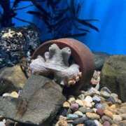 ヒメ日記 2025/10/09 13:08 投稿 れいな マリン宇都宮店