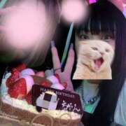 ヒメ日記 2025/02/05 12:58 投稿 なみ 千葉松戸ちゃんこ