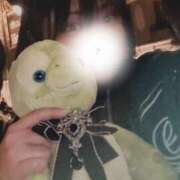 なみ お久しゅう? 千葉松戸ちゃんこ