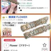 ヒメ日記 2024/11/09 17:33 投稿 あいり Flower（フラワー）