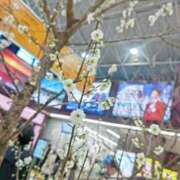 ヒメ日記 2025/02/23 17:58 投稿 あこ 水戸人妻花壇