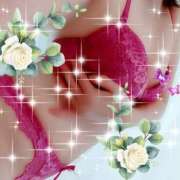 ヒメ日記 2025/10/04 15:44 投稿 あこ 水戸人妻花壇