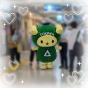 あこ そういえば 水戸人妻花壇