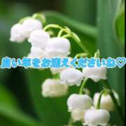 ヒメ日記 2025/12/31 11:36 投稿 あこ 水戸人妻花壇