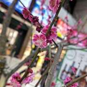 ヒメ日記 2026/03/02 23:12 投稿 あこ 水戸人妻花壇