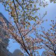 ヒメ日記 2026/04/13 17:06 投稿 あこ 水戸人妻花壇