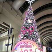 ヒメ日記 2024/12/21 00:46 投稿 こはる(人妻) THE・TRY