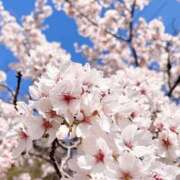 ヒメ日記 2025/04/06 00:29 投稿 姫愛【キララ】 LOVEキタ兎我野店