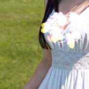 ヒメ日記 2025/06/23 12:56 投稿 まや 熟女家 京橋店