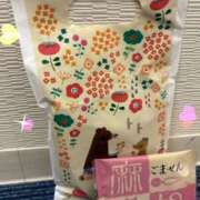 ヒメ日記 2026/05/07 09:36 投稿 まや 熟女家 京橋店