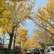 ヒメ日記 2024/12/14 05:23 投稿 つばき 彼女の部屋本店