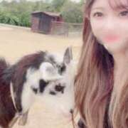 ヒメ日記 2025/02/26 16:16 投稿 つばき 彼女の部屋本店