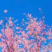 ヒメ日記 2025/02/04 14:26 投稿 せいな 熟女の風俗最終章 新宿店