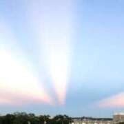 ヒメ日記 2025/05/31 15:04 投稿 せいな 熟女の風俗最終章 新宿店