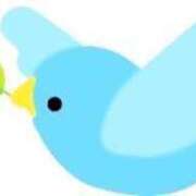 ヒメ日記 2025/06/14 11:42 投稿 せいな 熟女の風俗最終章 新宿店