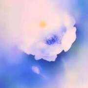 ヒメ日記 2025/06/17 09:42 投稿 せいな 熟女の風俗最終章 新宿店