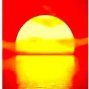 ヒメ日記 2025/07/17 09:42 投稿 せいな 熟女の風俗最終章 新宿店