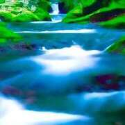 ヒメ日記 2025/08/01 11:00 投稿 せいな 熟女の風俗最終章 新宿店