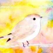 ヒメ日記 2025/08/01 16:29 投稿 せいな 熟女の風俗最終章 新宿店