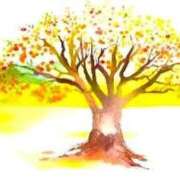 ヒメ日記 2025/08/21 17:43 投稿 せいな 熟女の風俗最終章 新宿店