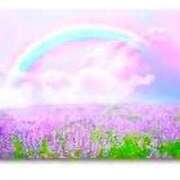 ヒメ日記 2025/08/23 13:33 投稿 せいな 熟女の風俗最終章 新宿店