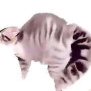 ヒメ日記 2025/08/26 08:28 投稿 せいな 熟女の風俗最終章 新宿店