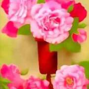 ヒメ日記 2025/08/28 16:52 投稿 せいな 熟女の風俗最終章 新宿店