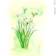 ヒメ日記 2025/09/06 10:47 投稿 せいな 熟女の風俗最終章 新宿店