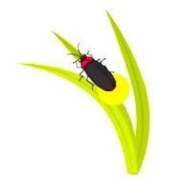 ヒメ日記 2025/09/12 10:04 投稿 せいな 熟女の風俗最終章 新宿店