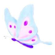 ヒメ日記 2025/09/13 11:02 投稿 せいな 熟女の風俗最終章 新宿店