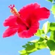 ヒメ日記 2025/09/21 15:22 投稿 せいな 熟女の風俗最終章 新宿店