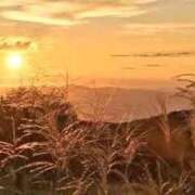 ヒメ日記 2025/09/22 09:52 投稿 せいな 熟女の風俗最終章 新宿店