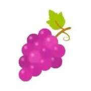 ヒメ日記 2025/09/27 21:11 投稿 せいな 熟女の風俗最終章 新宿店