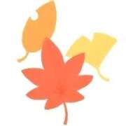 ヒメ日記 2025/10/04 11:22 投稿 せいな 熟女の風俗最終章 新宿店