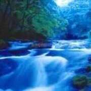 ヒメ日記 2025/10/10 07:39 投稿 せいな 熟女の風俗最終章 新宿店