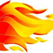 ヒメ日記 2025/11/08 13:12 投稿 せいな 熟女の風俗最終章 新宿店