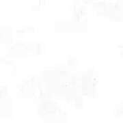 ヒメ日記 2025/11/10 12:52 投稿 せいな 熟女の風俗最終章 新宿店