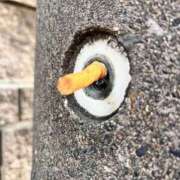 ヒメ日記 2026/01/20 10:58 投稿 せいな 熟女の風俗最終章 新宿店