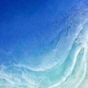 ヒメ日記 2024/12/12 11:30 投稿 せいな 熟女の風俗最終章 池袋店