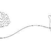 ヒメ日記 2025/05/05 14:22 投稿 せいな 熟女の風俗最終章 池袋店