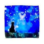 ヒメ日記 2025/06/27 10:07 投稿 せいな 熟女の風俗最終章 池袋店