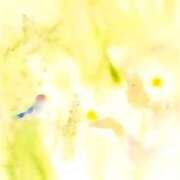 ヒメ日記 2025/06/29 09:22 投稿 せいな 熟女の風俗最終章 池袋店