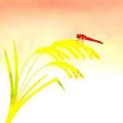 ヒメ日記 2025/08/19 08:49 投稿 せいな 熟女の風俗最終章 池袋店